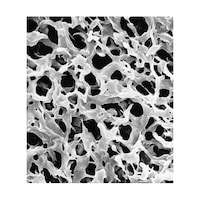 �f�u�v�o�O�V�U�Q�T�@�c�t�q�`�o�n�q�d�@�D