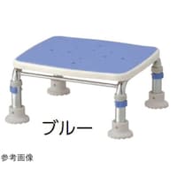 �X�e�����X��������q�@�~�j�P�O�@�u���[�@