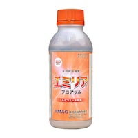 ̃GA[z[X