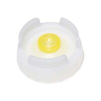 �S�S�S�S�T�R�O�f�B�X�y���T�[�p�փL���b�v