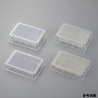 fB[vEFv[g@QQQ|WURU