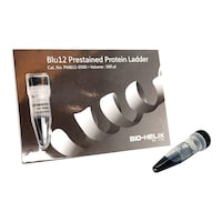 �y�Ⓚ�z�a�k�t�������@�o�������������������@�o���@�o�l�a�P�Q�|�O�T�O�O�@�E�F�n�[�E��@�P��