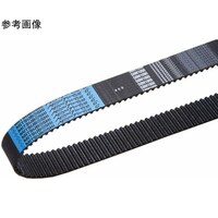 ���K�g���N�f�@�^�C�~���O�x�@�U�O�O�l�s�r�W�l�P�W�O�O�@�w�b�N�X���[�u�h���C�o�[�@�P��