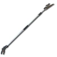 �Y�[���`���L�G�R�m