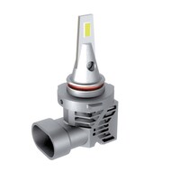 �w�b�h�E�t�H�O�o���u