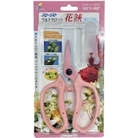 �E���g�����b�\����