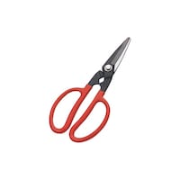 �h�E�J���@�c�j�W�O�@�t���[��