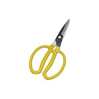 �h�E�J���@�c�j�U�R�O�@�؉���