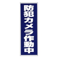 �u�h�ƃJ�����쓮���v