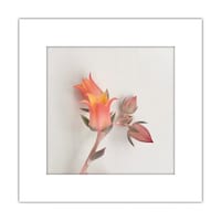 �A�[�g�g����