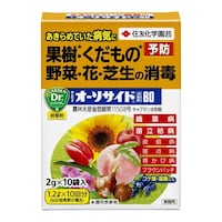 �_��@�I�[�\�T�C�h���a�܁@�Z�F���w�Q�O�T�W�R�V�P�@�A���p�Q���쏜�܁@�P��