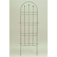 �g�����X�t�F���X