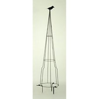 �g�s�A���[�X�^���h