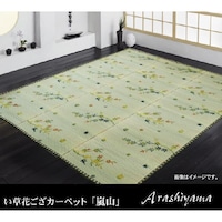 ԂJ[ybg@wRx@{ԂSDTiQWUDTQWUDTj@Py[J[^͎ԏnz