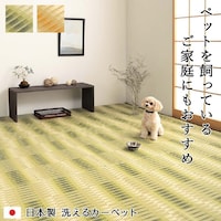 a@􂦂@@{@Y@J[ybg@O[@{ԂRiPXP~QWUj@Py[J[^͎ԏnz