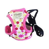 �L���b�g�\�t�e�B�n�[�l�X���[�h�t�����[�s