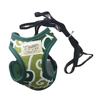 �L���b�g�\�t�e�B�n�[�l�X���[�h�J���N�T��