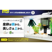 eg@_J̔ɐByރZbg
