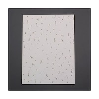 �Q�X�V���Q�P�O�����@�V���C�V�[���i�`�S