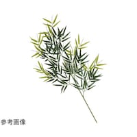 ���[���@�o���u�[��}�@�P�P�O�����@�T�T�|
