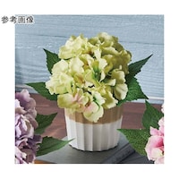 �����������ԃ|�b�g�@�O���[���@�T�T�|�P�P�|�V�|�Q�@�T�T�|�P�P�|�V�|�Q�@�P��