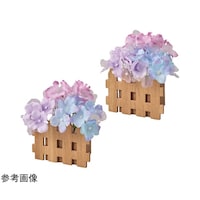 �����������Ԋ_���|�b�g�@�Q�@�T�T�|�P�Q