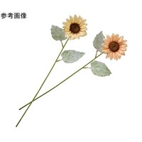 �j���A���X�T�e���Ђ܂�葢�ԃX�v���[�@�Q