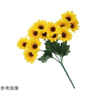 �~�j�Ђ܂�葢�ԃu�b�V���Q�T�����@�U�{�@