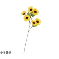 �j���[�T���t�����[�i�Ђ܂��j���ԃX�v��