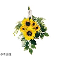 �Ђ܂�葢�ԃX���b�O�S�V�����@�T�T�|�P�U