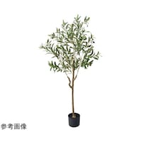 �t�F�C�N�O���[���@�ϗt�A���@�l�H���؁@�G�}���H�@�I���[�u�@�T�T�|�Q�O�|�T�|�P�@�T�T�|�Q�O�|�T�|�P�@�P��