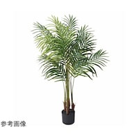 �t�F�C�N�O���[���@�ϗt�A���@�l�H���؁@�G�}���H�@�A���J�p�[���@�T�T�|�Q�O�|�T�|�R�@�T�T�|�Q�O�|�T�|�R�@�P��