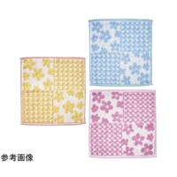 �m�x���e�B�@�p�X�e���t�����[�^�I���n���J