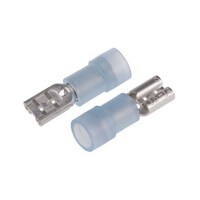 �t�@�X�g���[�q�@���X�@�e�c�m�x�c�Q�@�V��