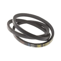 �v�[���[�@�x���g�@���@�P�R�����@�����@�P