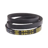 �v�[���[�@�x���g�@���@�P�R�����@�����@�X