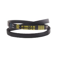 �v�[���[�@�x���g�@���@�P�R�����@�����@�P