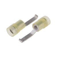 �����u���[�h�[�q�@�t�b�N�@�≏�@�n�����P