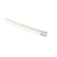 �R�W�U�|�U�P�X�O�@�G�A�`���[�u