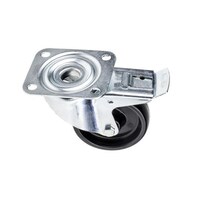 �X�C�x���L���X�^�[�@�^�C���ށ@�t�F�m�[��