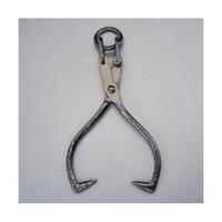 �T�O�O�����@���t�e�B���O�g���O�@�d�`�U�T