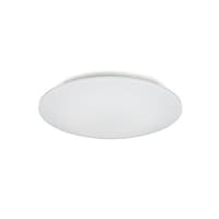 �ӂS�T�O���@�X�R�����@�V�[�����O���C�g�i