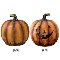 �p���v�L���I�u�W�F�@�I�����W�t�F�C�X�@�r
