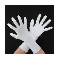 �m�l�n�@��܁i�ᔭ�o�����O�^�i�C�����A�|