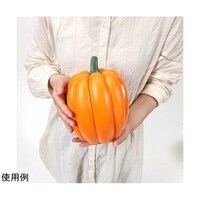 �X�����p���v�L���I�u�W�F�@�����Q�O�����@