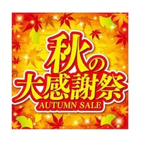 �H�̑労�ӍՁ@�e�[�}�|�X�^�[�@���ʁ@�R�W