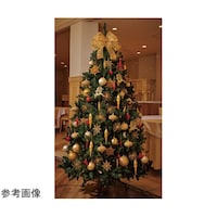 �S�[�W���X�N���X�}�X�c���[�Z�b�g�@�S�[��