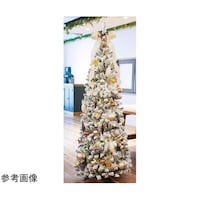 �|�b�v�A�b�v�N���X�}�X�c���[�@�X�m�[�@��