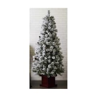 �x�[�X�t���u���V�N���X�}�X�c���[�@�X����