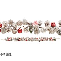 �i�`�������N���X�}�X�K�[�����h�@�I�[�i�����g�{�[���@�������I�[�i�����g�{�[���@�R�W�|�S�U�|�U�|�P�@�R�W�|�S�U�|�U�|�P�@�P�{